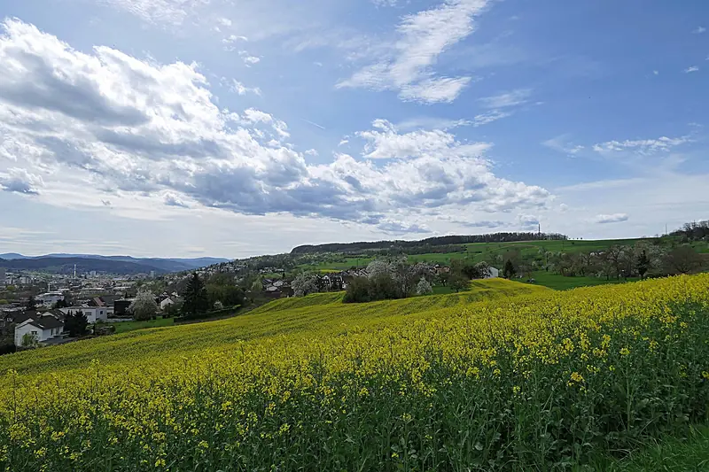 Bauen am Tüllinger Berg